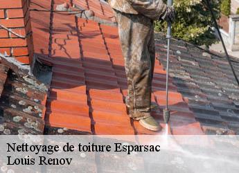 Nettoyage de toiture  esparsac-82500 Louis Renov