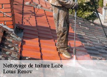 Nettoyage de toiture  loze-82160 Louis Renov