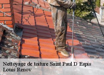Nettoyage de toiture  saint-paul-d-espis-82400 Louis Renov