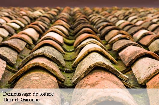 Demoussage de toiture Tarn-et-Garonne