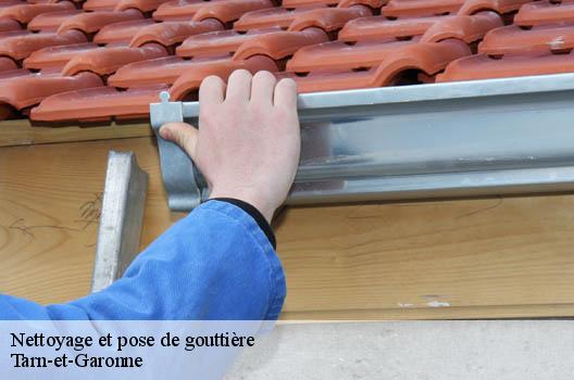Nettoyage et pose de gouttière Tarn-et-Garonne
