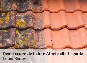 Demoussage de toiture  albefeuille-lagarde-82290 Louis Renov