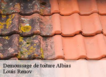 Demoussage de toiture  albias-82350 Louis Renov