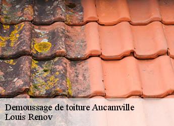 Demoussage de toiture  aucamville-82600 Louis Renov