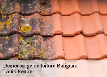 Demoussage de toiture  balignac-82120 Louis Renov