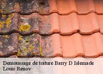 Demoussage de toiture  barry-d-islemade-82290 Louis Renov
