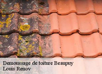 Demoussage de toiture  beaupuy-82600 Louis Renov