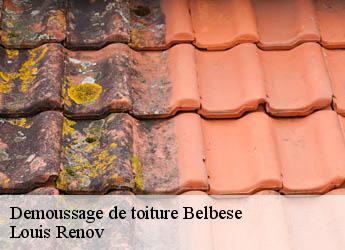 Demoussage de toiture belbese-82500 Louis Renov