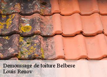 Demoussage de toiture  belbese-82500 Louis Renov