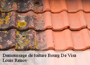 Demoussage de toiture  bourg-de-visa-82190 Louis Renov