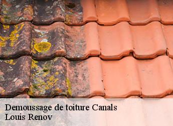 Demoussage de toiture  canals-82170 Louis Renov