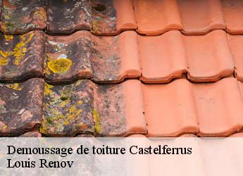 Demoussage de toiture  castelferrus-82100 Louis Renov
