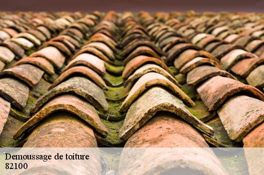 Demoussage de toiture 82100