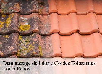 Demoussage de toiture  cordes-tolosannes-82700 Louis Renov