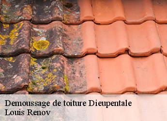 Demoussage de toiture  dieupentale-82170 Louis Renov