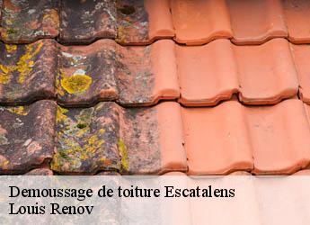 Demoussage de toiture  escatalens-82700 Louis Renov