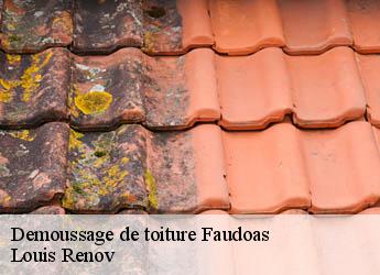 Demoussage de toiture  faudoas-82500 Louis Renov