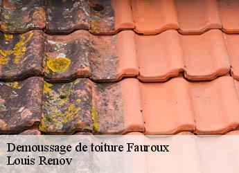 Demoussage de toiture  fauroux-82190 Louis Renov