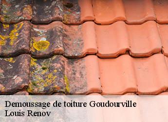 Demoussage de toiture  goudourville-82400 Louis Renov