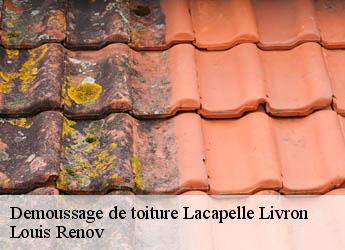 Demoussage de toiture  lacapelle-livron-82160 Louis Renov