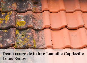 Demoussage de toiture  lamothe-capdeville-82130 Louis Renov