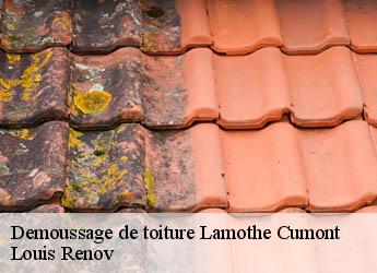 Demoussage de toiture  lamothe-cumont-82500 Louis Renov
