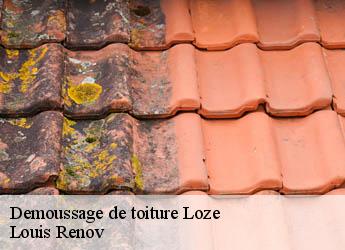 Demoussage de toiture  loze-82160 Louis Renov