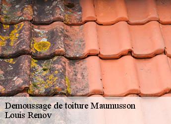 Demoussage de toiture  maumusson-82120 Louis Renov