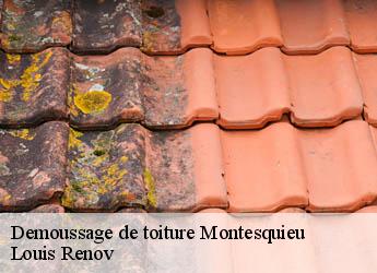 Demoussage de toiture  montesquieu-82200 Louis Renov