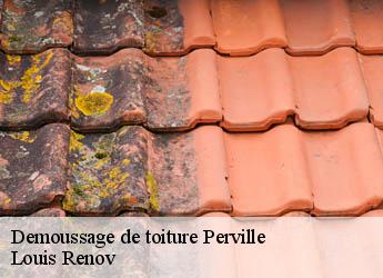 Demoussage de toiture  perville-82400 Louis Renov