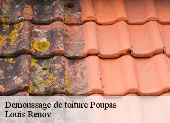 Demoussage de toiture  poupas-82120 Louis Renov