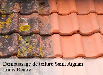 Demoussage de toiture  saint-aignan-82100 Louis Renov