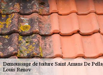 Demoussage de toiture  saint-amans-de-pellagal-82110 Louis Renov