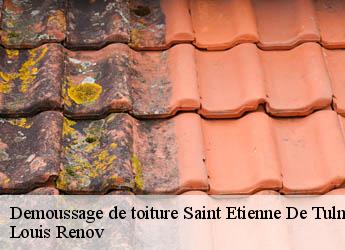 Demoussage de toiture saint-etienne-de-tulmont-82410 M. Bauer