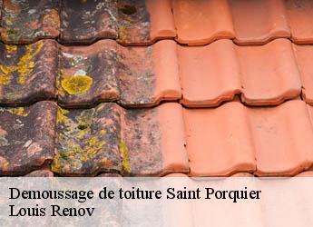 Demoussage de toiture  saint-porquier-82700 Louis Renov