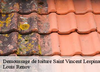 Demoussage de toiture  saint-vincent-lespinasse-82400 Louis Renov
