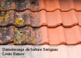 Demoussage de toiture  serignac-82500 Louis Renov