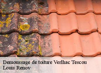 Demoussage de toiture  verlhac-tescou-82230 Louis Renov