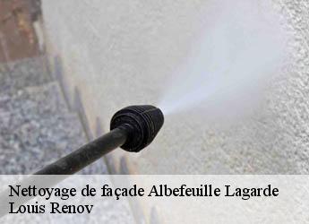 Nettoyage de façade  albefeuille-lagarde-82290 Louis Renov