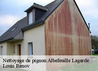 Nettoyage de pignon  albefeuille-lagarde-82290 Louis Renov