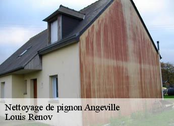 Nettoyage de pignon  angeville-82210 Louis Renov