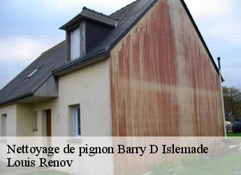 Nettoyage de pignon  barry-d-islemade-82290 Louis Renov