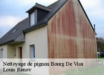 Nettoyage de pignon  bourg-de-visa-82190 Louis Renov