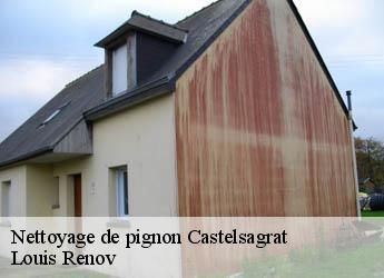 Nettoyage de pignon castelsagrat-82400 Louis Renov