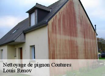 Nettoyage de pignon  coutures-82210 Louis Renov