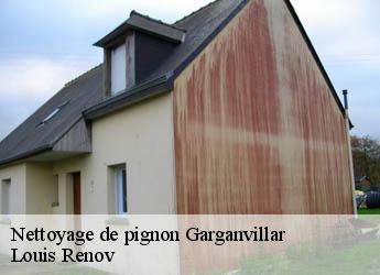 Nettoyage de pignon  garganvillar-82100 Louis Renov