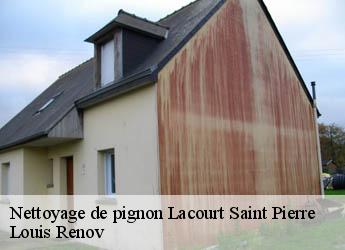 Nettoyage de pignon  lacourt-saint-pierre-82290 Louis Renov