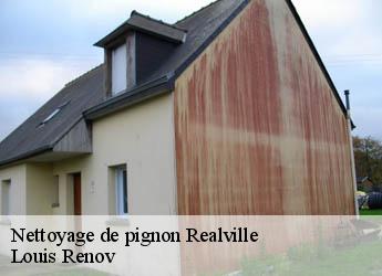 Nettoyage de pignon  realville-82440 Louis Renov