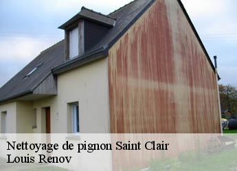Nettoyage de pignon  saint-clair-82400 Louis Renov