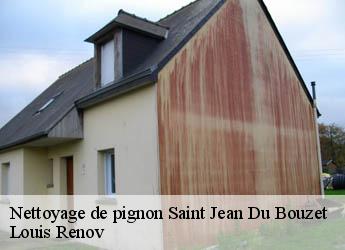 Nettoyage de pignon saint-jean-du-bouzet-82120 Louis Renov